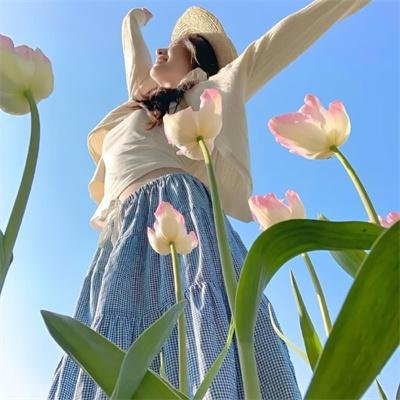红菱艳